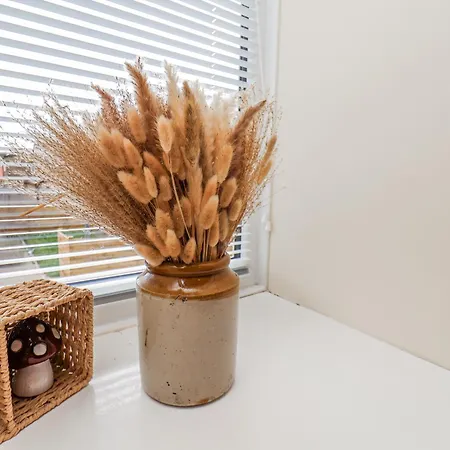 Дом отдыха Starlight *